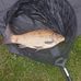 Kyle Earp - Facebook