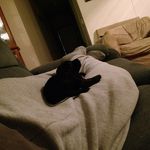 Kyle Eason - @gameboy_1237220 - Instagram