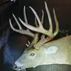 kylereaves4 - @kylereaves4 - TikTok