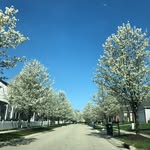 Kyle Eggert - @buckslake4 - Instagram