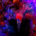 Kyle Ekstrom - Facebook