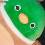 Kyle Elder - @silentninja_0221 - Instagram