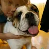 Kylee Elzey - @kyleeelzey - TikTok