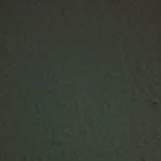 Kyle Enderle - Facebook