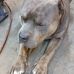 Kyle Ensley - Facebook