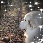 Kyle Ericson - @kyle.ericson.31 - Instagram