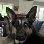 Kyle Esposito - @thekoda_bear21 - Instagram