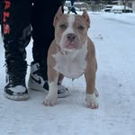 Kyle Ewing - @kyleewing333 - Instagram