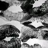 KYLE FANN - @kyle.fann0 - TikTok