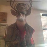 Kyle Faught - @kyle_faught - Instagram