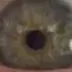 Kyle Fenwick Taylor eats bin - @kyle.fenwick.tayl2 - TikTok