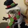 KylefenwickT - @sirdog66 - TikTok