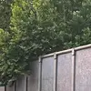 fishkyle - @fishkyle - TikTok