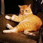 Kyle Flint - @spiderflint - Instagram