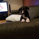 Kyle Forrest - @kyle.forrest.1048 - Instagram