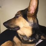 Kyle Forrest - @kyletjforrest01 - Instagram