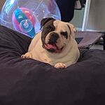 Kyle Frederick - @kyle.frederick.5209 - Instagram
