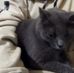 Kyle Frederick - Facebook