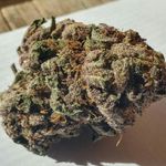 Kyle Fredericks - @chronic_rhino - Instagram