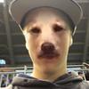 kyle fredericks - @kylef29 - TikTok