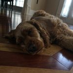 Kyle Gardenhire - @kyle_gardenhire - Instagram
