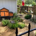 Kyle’s Garden & Homestead - @kylemalmaygardenandhomestead - Instagram