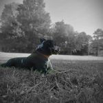 Kyle Garrison - @kyle.garrison.988 - Instagram