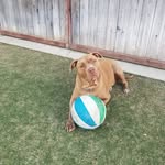 Kyle Geiger - @kylegeiger13 - Instagram