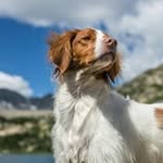 Kyle Glazier - @glazier.kyle - Instagram
