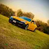 Kyle_Gosnell - @kyle.250 - TikTok