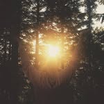kyle green - @kylegreen000 - Instagram