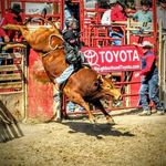 kyle#Gregg#rodeoking - @rodeo.outlaw - Instagram