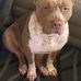 Kyl Gregory - Facebook