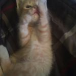 @kyl.egresham - Instagram
