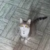 Skyley - @skyleygribble4 - TikTok