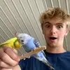 Kyle Grimaldi - @kyle.grimaldi23_24 - TikTok
