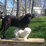 Kyle Hackett - @kyle.hackett.7564 - Instagram
