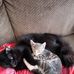 Kellie Halladay - Facebook