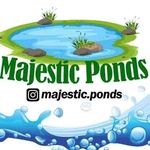 kyle hamblin - @majestic.ponds - Instagram