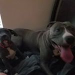 Kyle Hammock - @kyle.hammock1 - Instagram