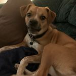 Kyle Jefferey Haskett - @oknowimrdy33 - Instagram
