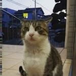 まつげちゃん888 - @kylehaslettwba - Instagram