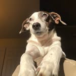 Kyle Hatter - @fireballo1 - Instagram