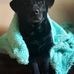 Kyle Hayhurst - Facebook