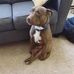 Kyler Hayhurst - Facebook