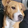 Kyle Hayter - @kyle.hayter - TikTok