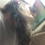 Kyle Heckler - @kyle_vonheckler - Instagram