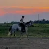 Kyler Heiney - @kylerheiney - TikTok