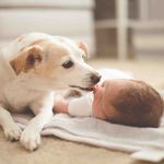 Kyle Heiser - @kyle_heiser - Instagram