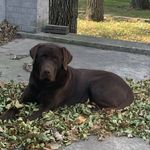 Kyle Helgeson - @carverhawk55 - Instagram